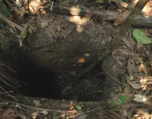26 years of isolation.The Last Man of the Hole in the Amazon Tribe is died